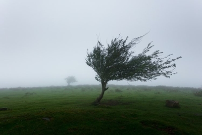 Rukwinde tref Groot Brak