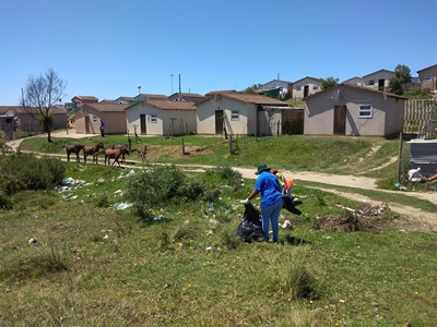 Operation clean-up in Rosedale