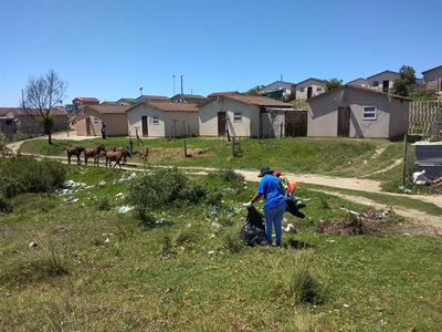 Operation clean-up in Rosedale