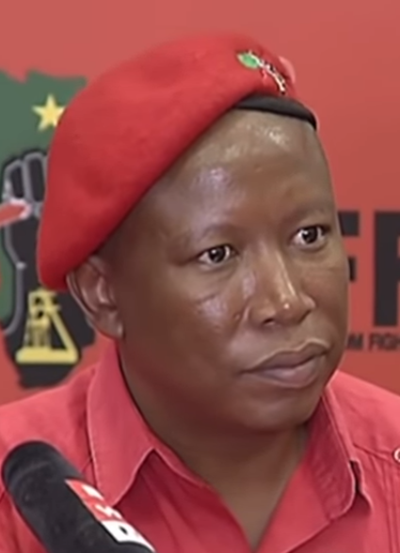 EFF’s ’empty’ criticism of courts part of a political plan – experts