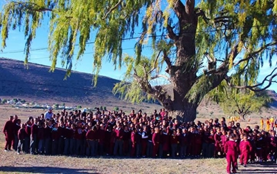 'Adopt-A-Tree Project' puts down deep roots