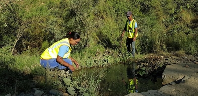 Seweweekspoort Pass plants rehabilitated