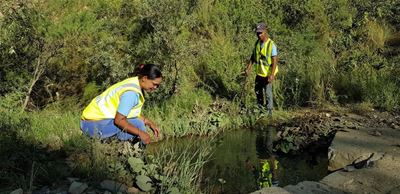 Seweweekspoort Pass plants rehabilitated