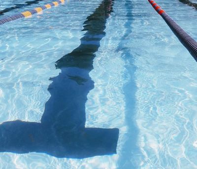 CAA Releases Final Swimming & Diving Awards For 2017