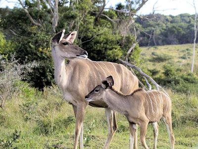 SA biltong hunters cautioned to heed Namibian regulations