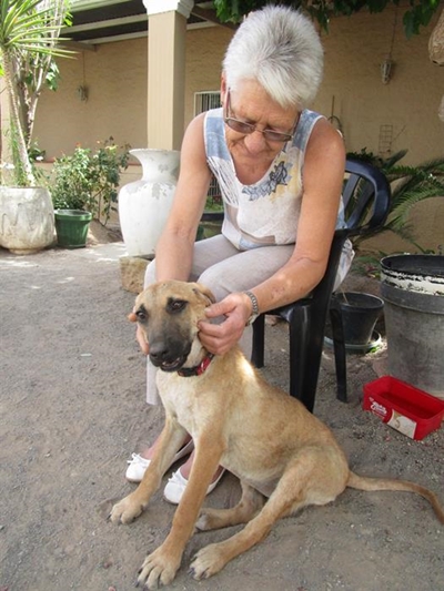 Happy ending for dumpster dog