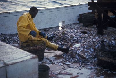 Securing tomorrow's catch: Why SA retailers are investing in sustainable fishing