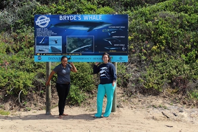 Whales gain exposure through signage