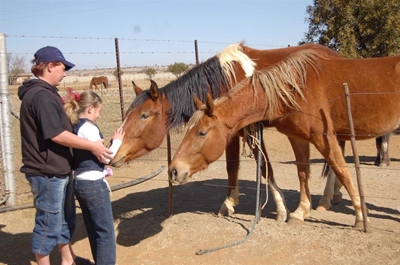 African Horse Sickness control measures critical