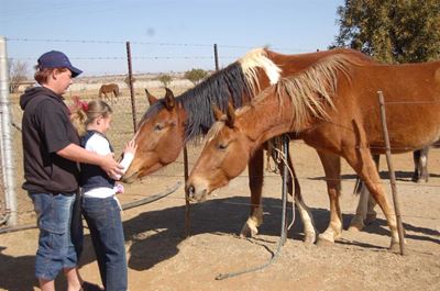 African Horse Sickness control measures critical