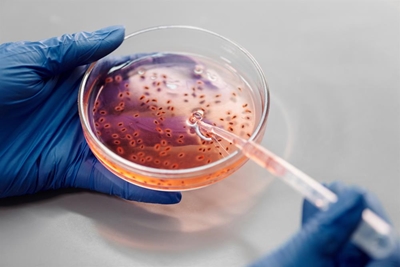 DNA backlog a 'miscarriage of justice'