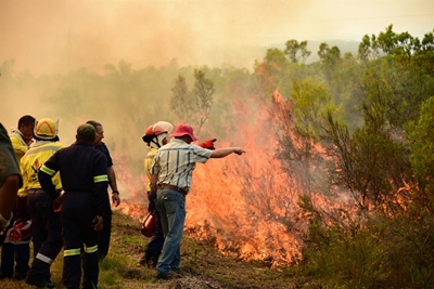 Burning Nature’s Valley fynbos for preservation