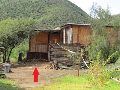 Vier vas vir Calitzdorp-moord
