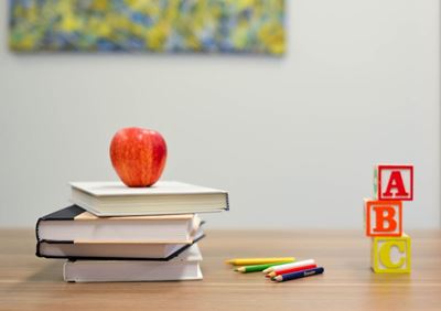 School fees: Is the upfront discount worth it?