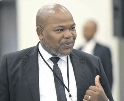 Zondo postpones testimony of Hawks officer implicated in plot to oust Nxasana
