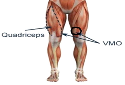 Exercise for ACL and PCL injuries