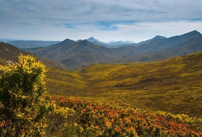 Plett pilgrimage to showcase region's beauty