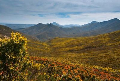 Plett pilgrimage to showcase region's beauty