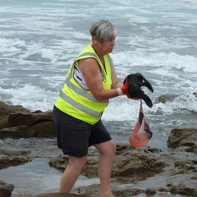 Reason for Mossel Bay seal deaths uncertain