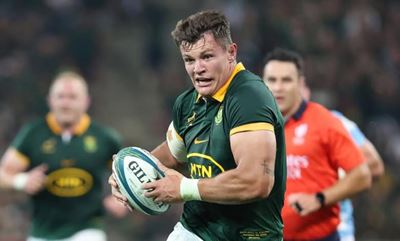 Bulls seek clarity on Bok tourists