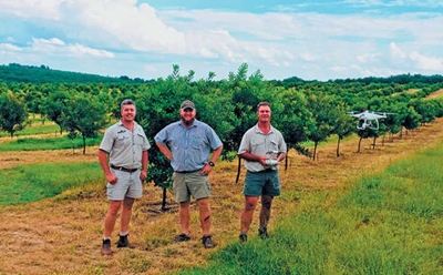 Drone technology maximises macadamia production