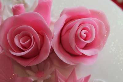 Flower and sugar art at George Agricultural Show