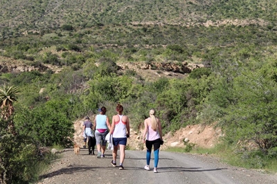 87 join parkrun