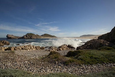 The third history festival for Plett