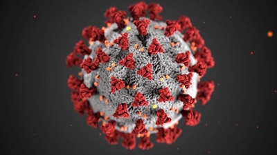 This week's vaccination schedule