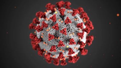 This week's vaccination schedule