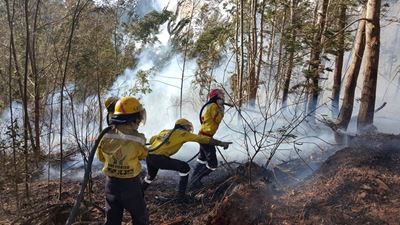 Working on Fire team to assist in Canada