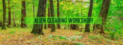 Be part of afternoon of alien clearing