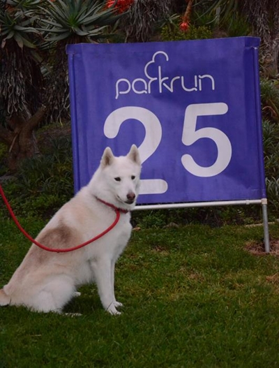 Flame turns parkrun into a barkrun