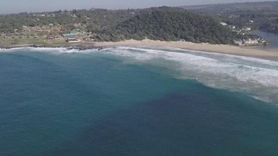 Sardine fever strikes as ‘silver gold’ spotted between Uvongo and Port Edward