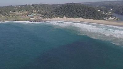 Sardine fever strikes as ‘silver gold’ spotted between Uvongo and Port Edward