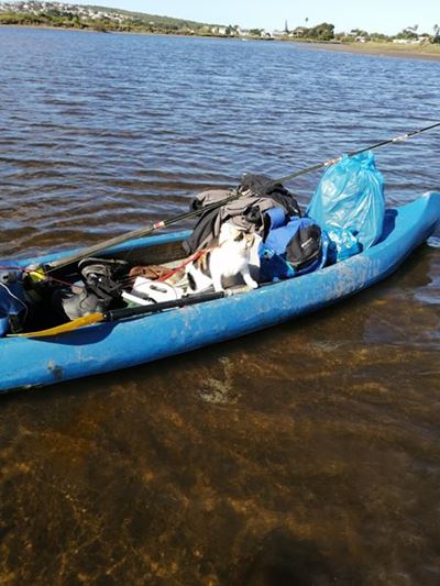 Adventure cat Vlooi loves camping, canoeing