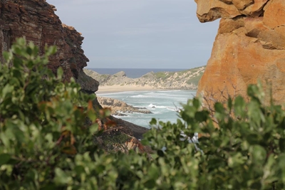 Hikers reminded of dangers of hiking as tourist falls at Robberg Nature Reserve