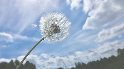 Weather: Cloudy, windy and warm on Tuesday