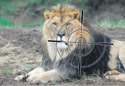 Edna Molewa is ‘misleading’ SA about canned lion hunting