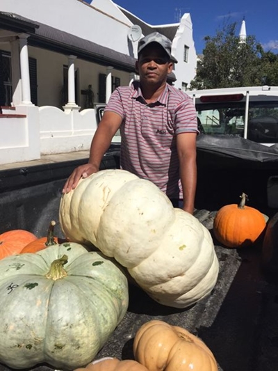 A bounty of pumpkins donated