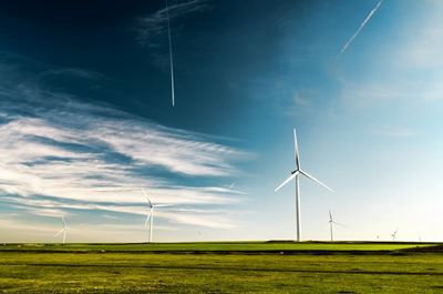 Environmental groups applaud Ramaphosa’s plan for renewable energy