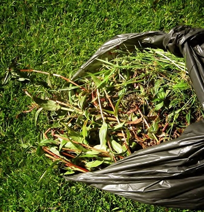 Garden waste: reprieve offered