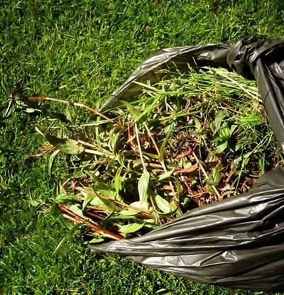 Garden waste: reprieve offered