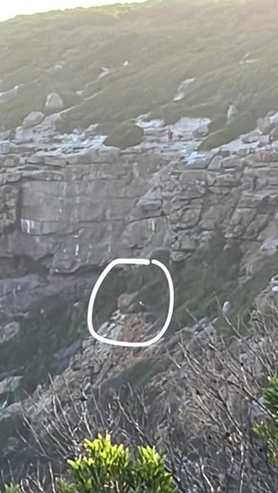Man slips on St Blaize Trail