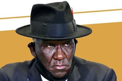 Calls for Cele to resign over ‘lucky to be raped by one man’ comment