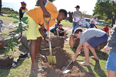 Hoekwil Primary helps reforest the Garden Route