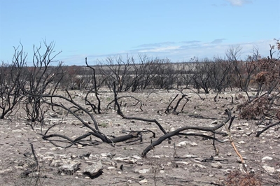 Municipality to host fire seminar