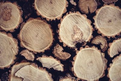 Illegally treated timber confiscated from distributors in KZN