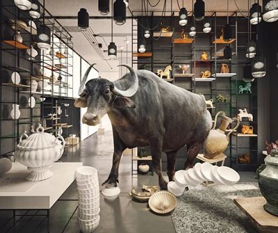 Woord van die week: Idioom