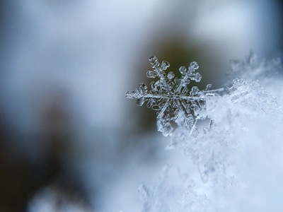 Snowfall closes roads, now open again